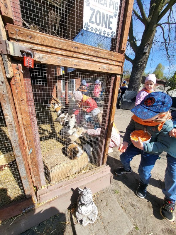 �redniakikarmi� zwierz�ta